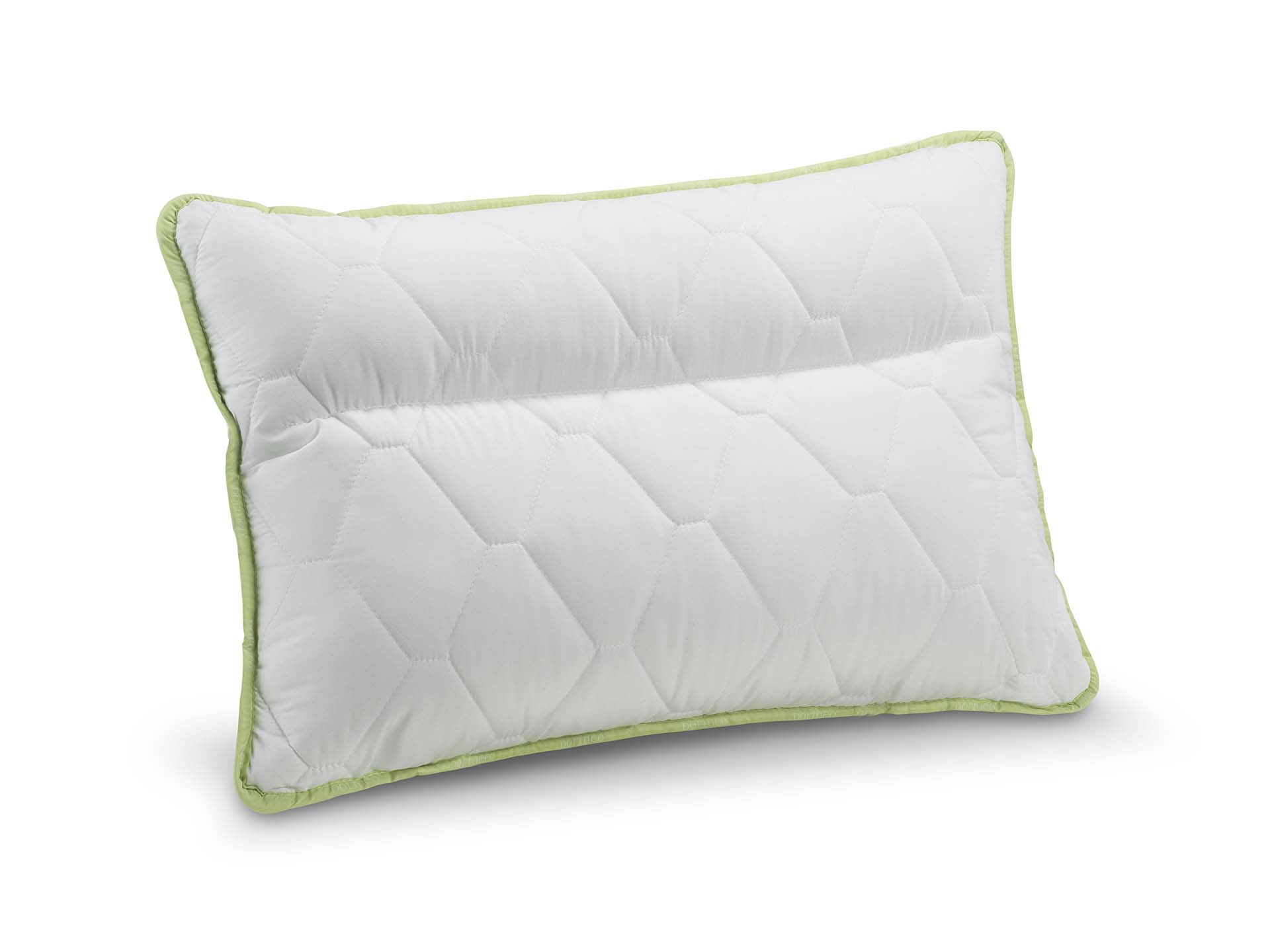 Aloe Vera anatómiai párna V2 50x70 cm 50х70 см